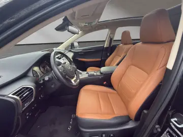 NX 300 h E-Four Luxury  HUD PANO 360