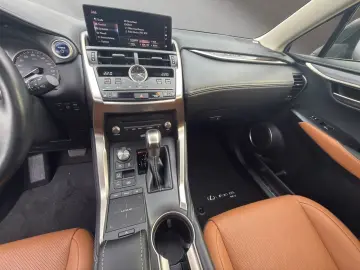 NX 300 h E-Four Luxury  HUD PANO 360