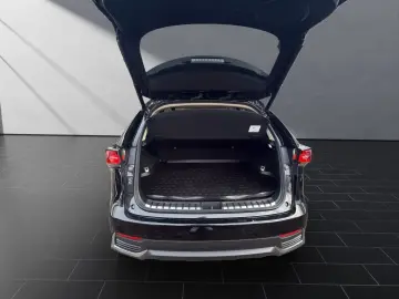 NX 300 h E-Four Luxury  HUD PANO 360