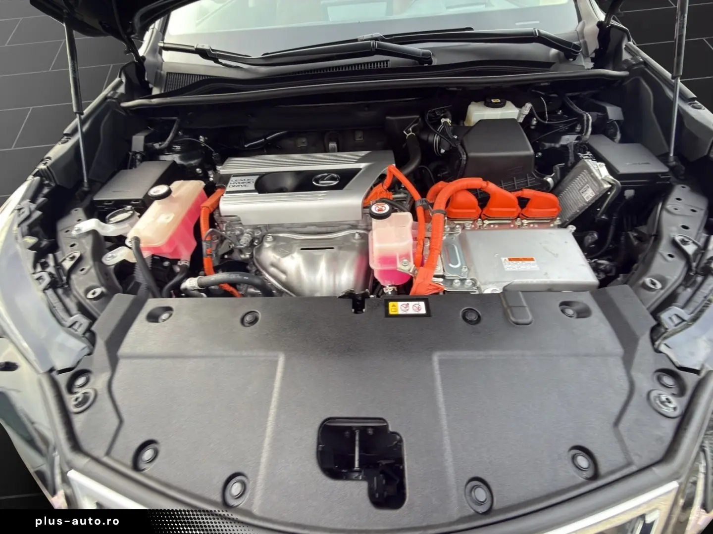 NX 300 h E-Four Luxury  HUD PANO 360