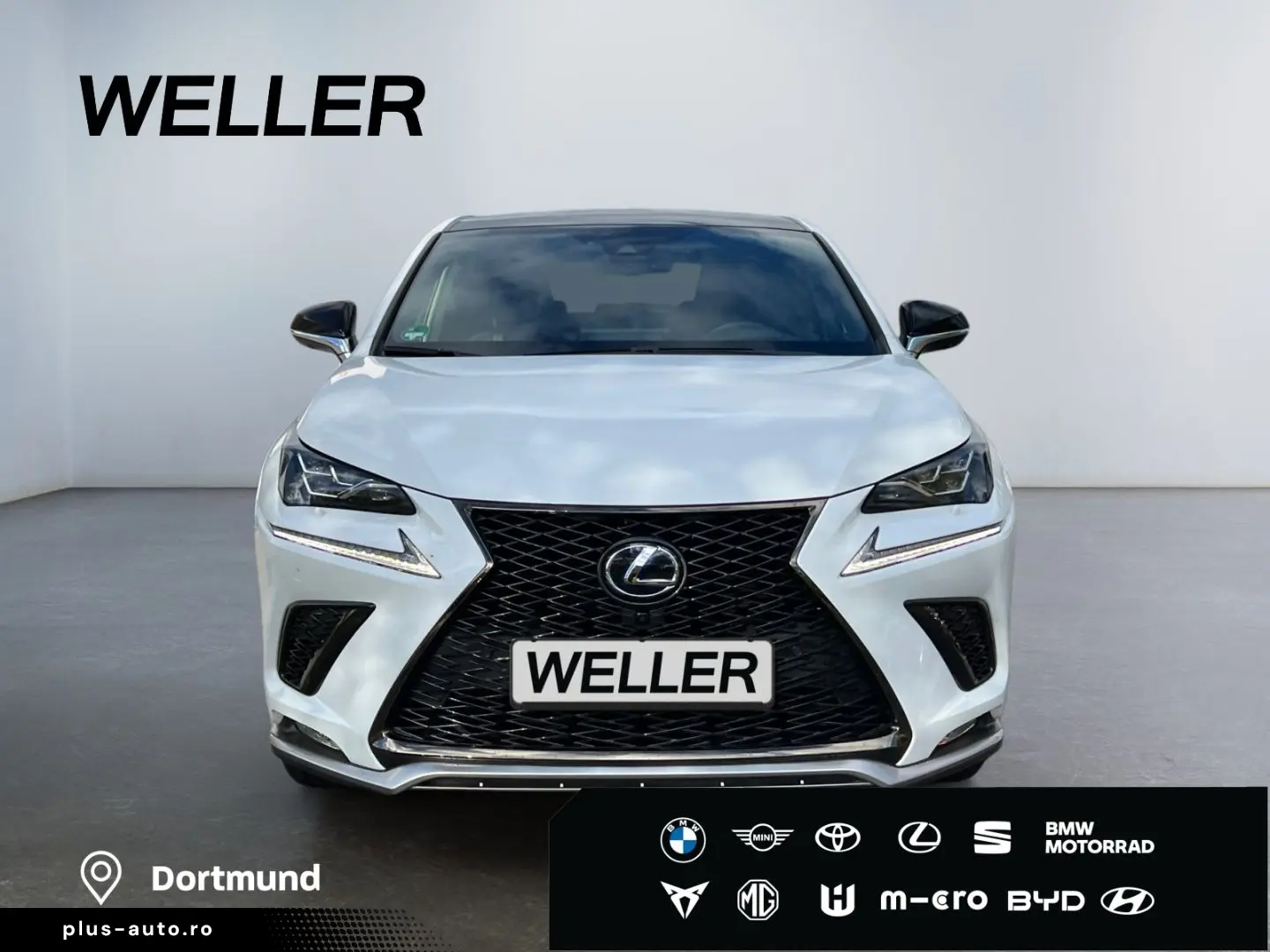 NX 300h E-FOUR F SPORT  Matrix 360  Levinson Pan