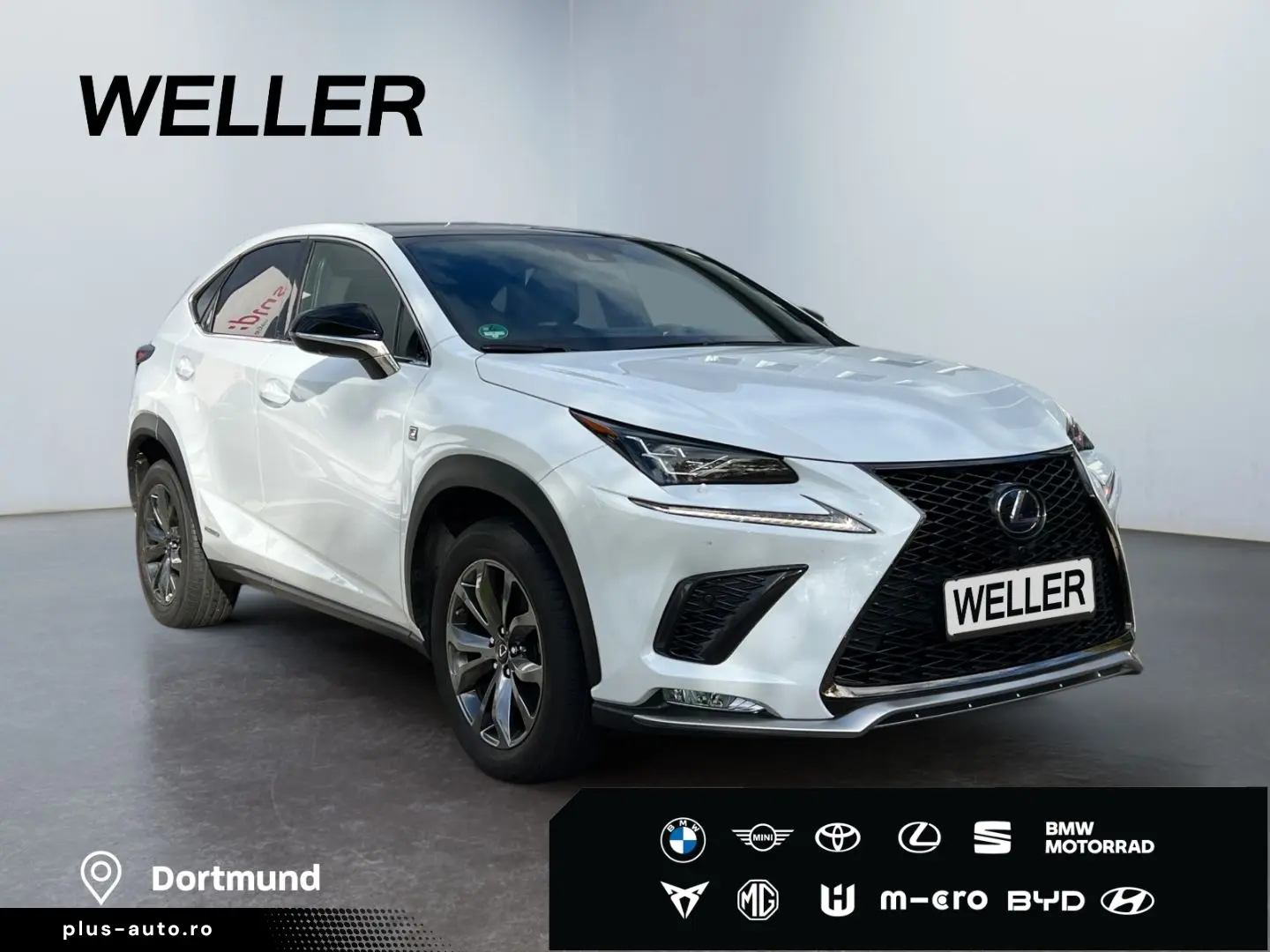 NX 300h E-FOUR F SPORT  Matrix 360  Levinson Pan