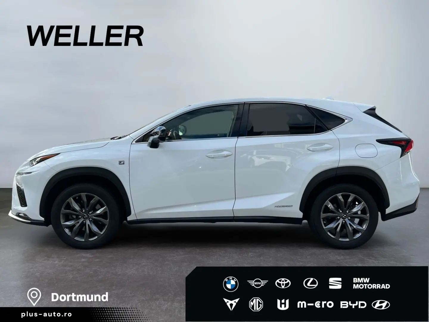 NX 300h E-FOUR F SPORT  Matrix 360  Levinson Pan