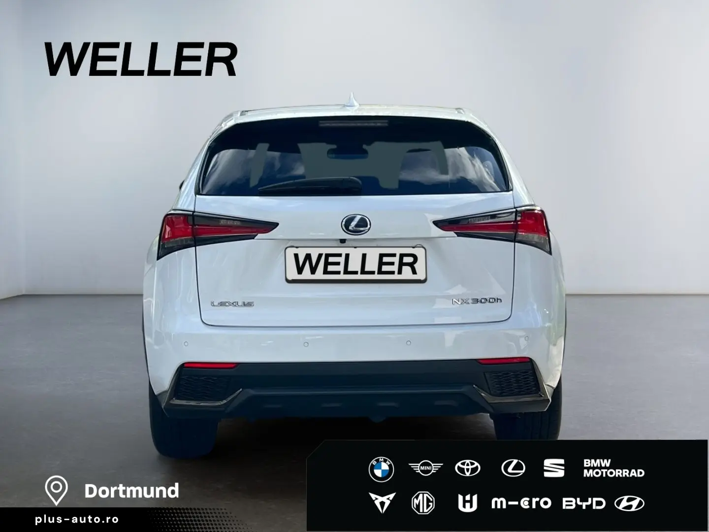 NX 300h E-FOUR F SPORT  Matrix 360  Levinson Pan