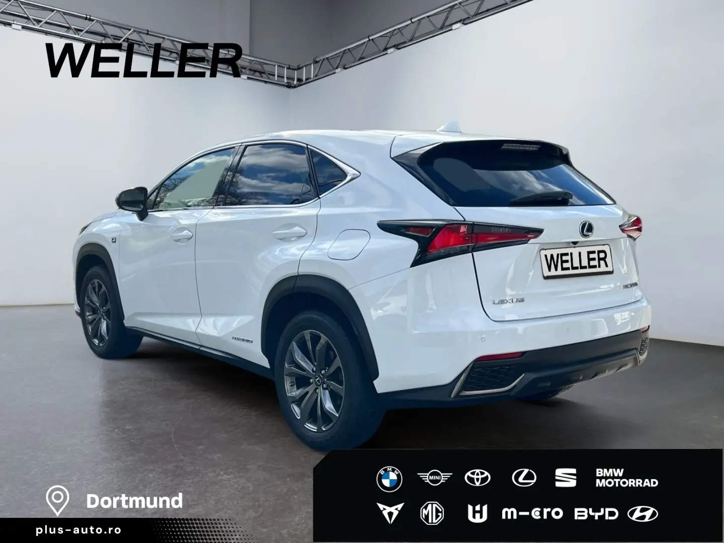 NX 300h E-FOUR F SPORT  Matrix 360  Levinson Pan