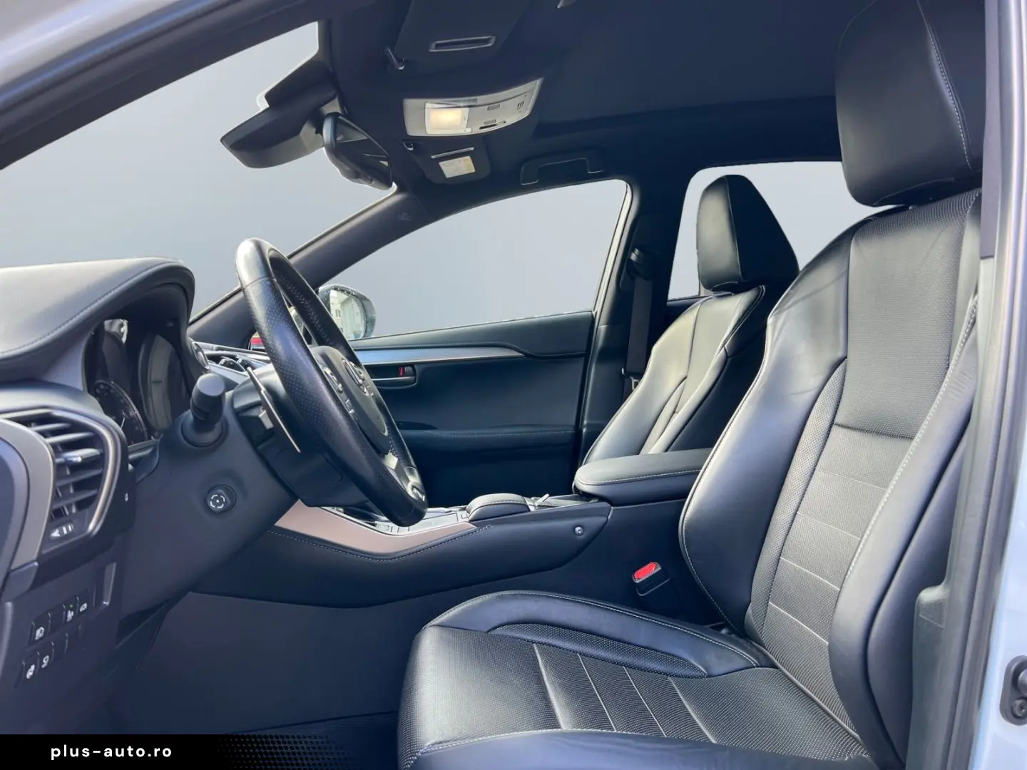 NX 300h E-FOUR F SPORT  Matrix 360  Levinson Pan