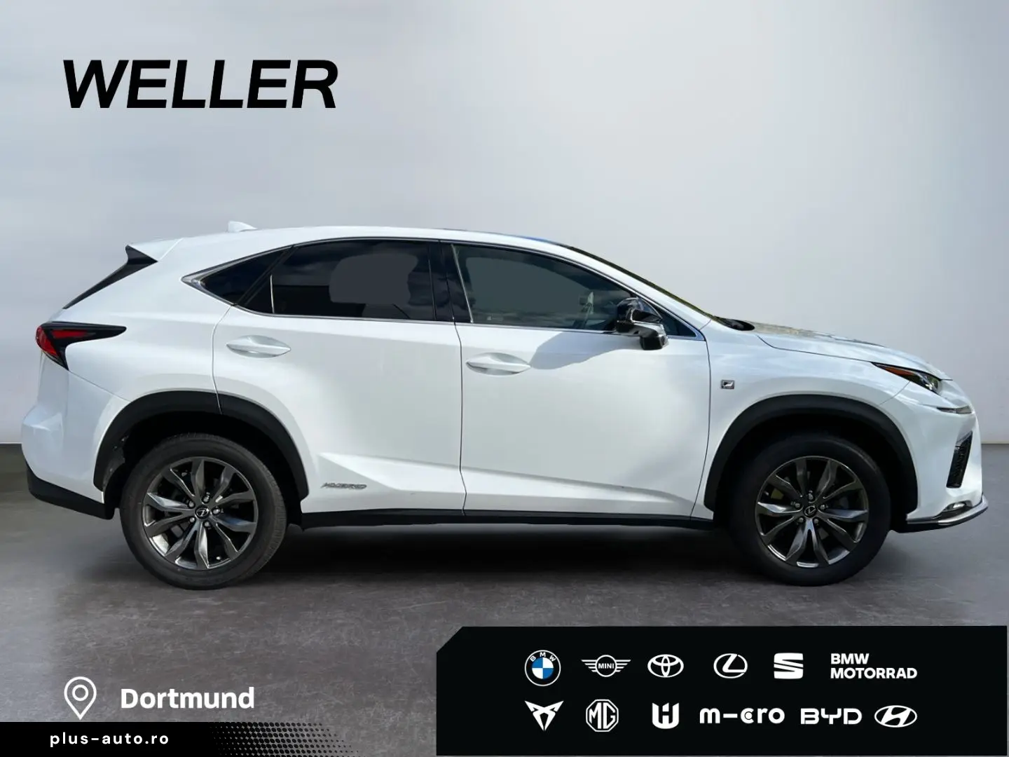 NX 300h E-FOUR F SPORT  Matrix 360  Levinson Pan