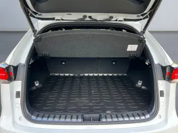 NX 300h E-FOUR F SPORT  Matrix 360  Levinson Pan