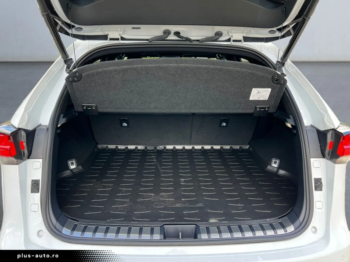 NX 300h E-FOUR F SPORT  Matrix 360  Levinson Pan