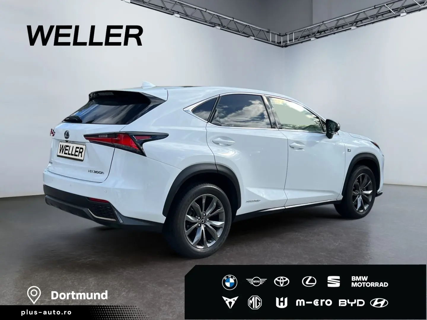 NX 300h E-FOUR F SPORT  Matrix 360  Levinson Pan