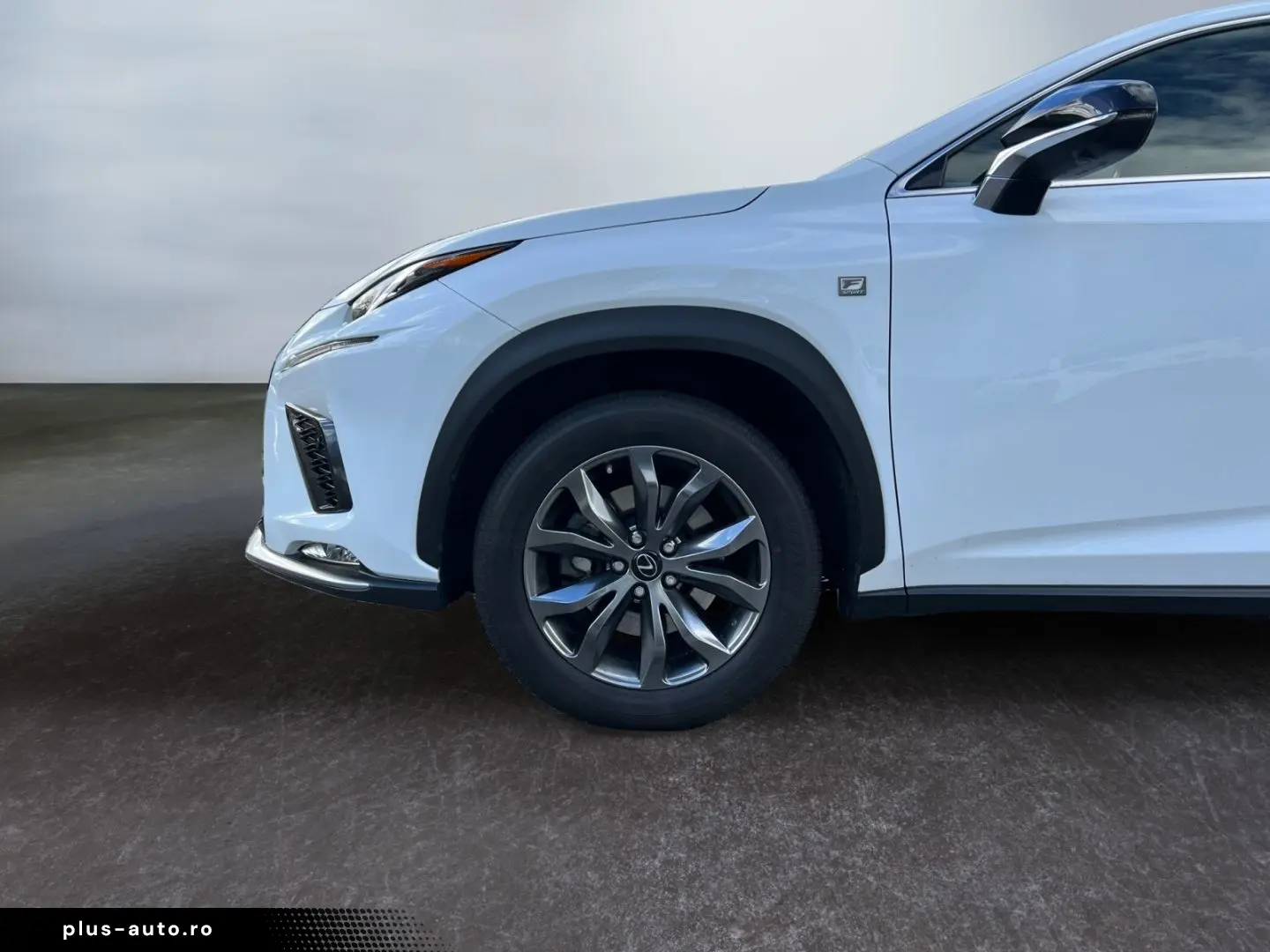 NX 300h E-FOUR F SPORT  Matrix 360  Levinson Pan