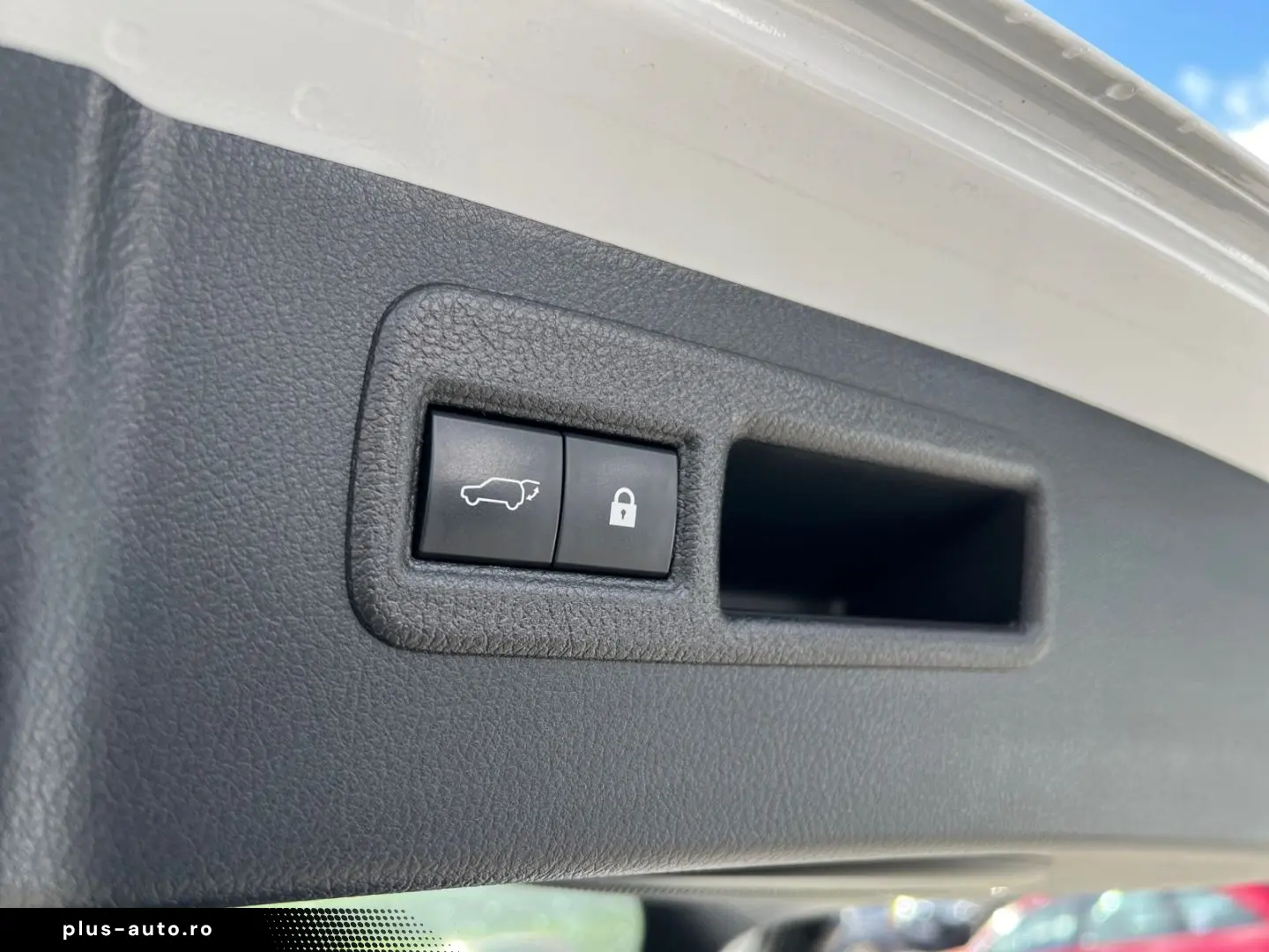 NX 300h E-FOUR F SPORT  Matrix 360  Levinson Pan