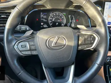 NX 450h Executive AWD Plug-In DigTacho 360Grad