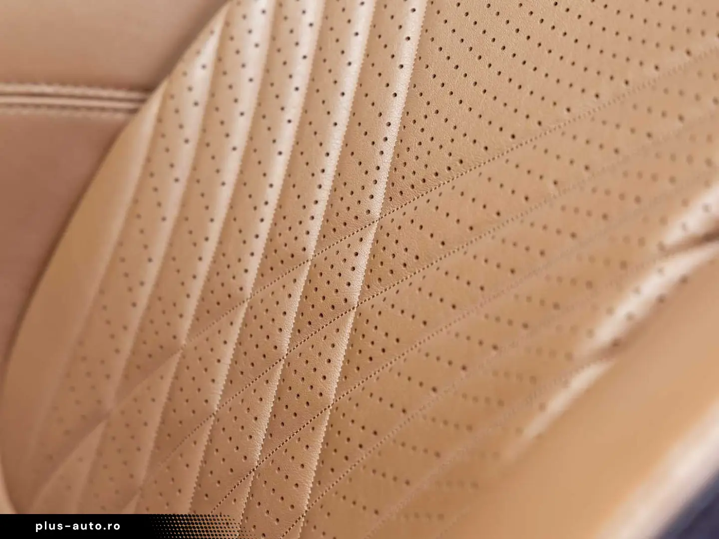 DBX -Minotaur Green-