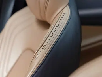 DBX -Minotaur Green-