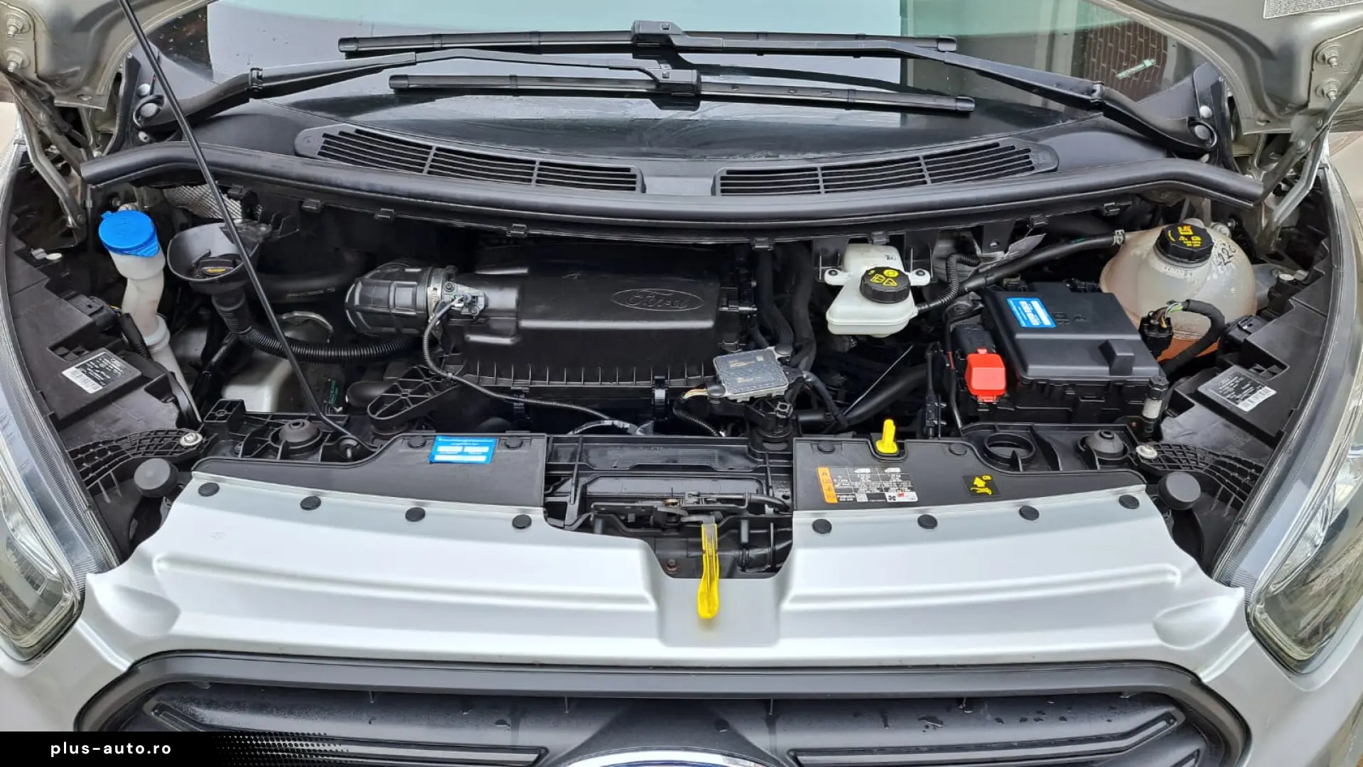 FORD CUSTOM VAN TREND L1H1 FWD