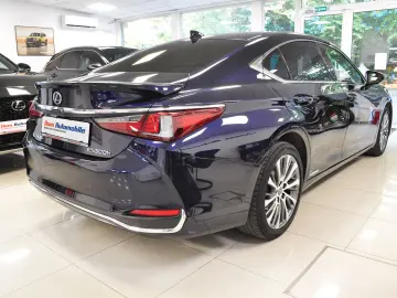LUXUS ES 300h LUXURY