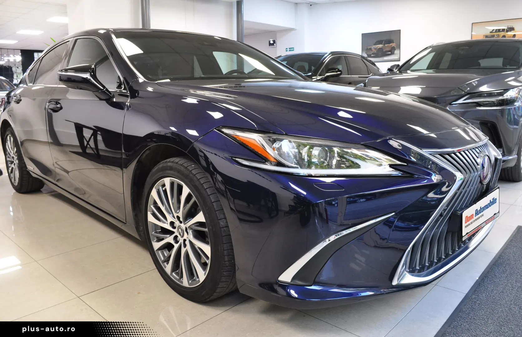 LUXUS ES 300h LUXURY