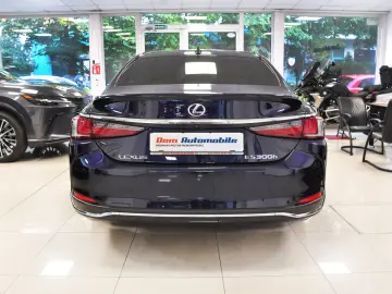 LUXUS ES 300h LUXURY