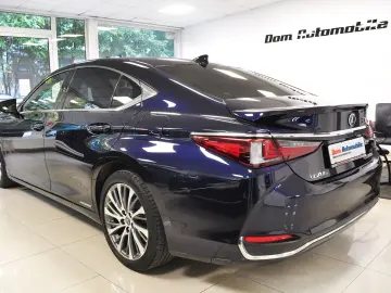 LUXUS ES 300h LUXURY