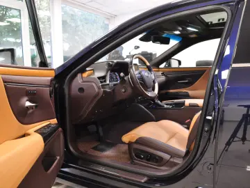 LUXUS ES 300h LUXURY