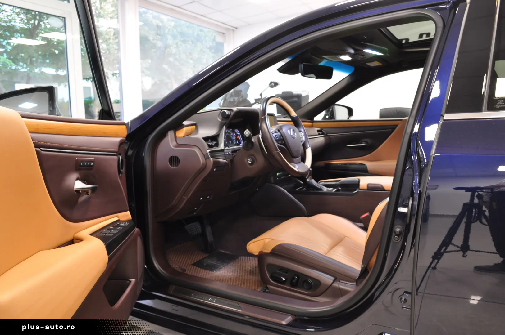 LUXUS ES 300h LUXURY