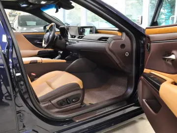 LUXUS ES 300h LUXURY