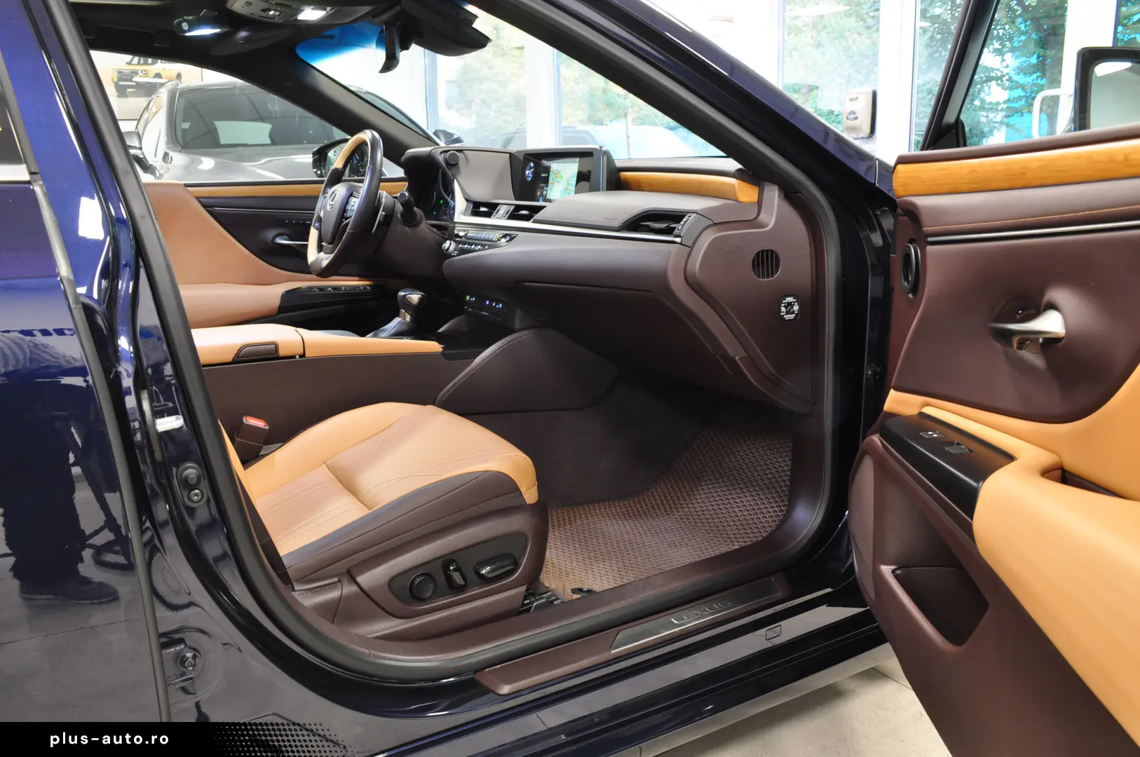 LUXUS ES 300h LUXURY