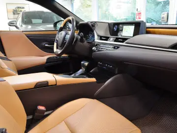 LUXUS ES 300h LUXURY