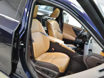 LUXUS ES 300h LUXURY