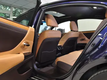 LUXUS ES 300h LUXURY