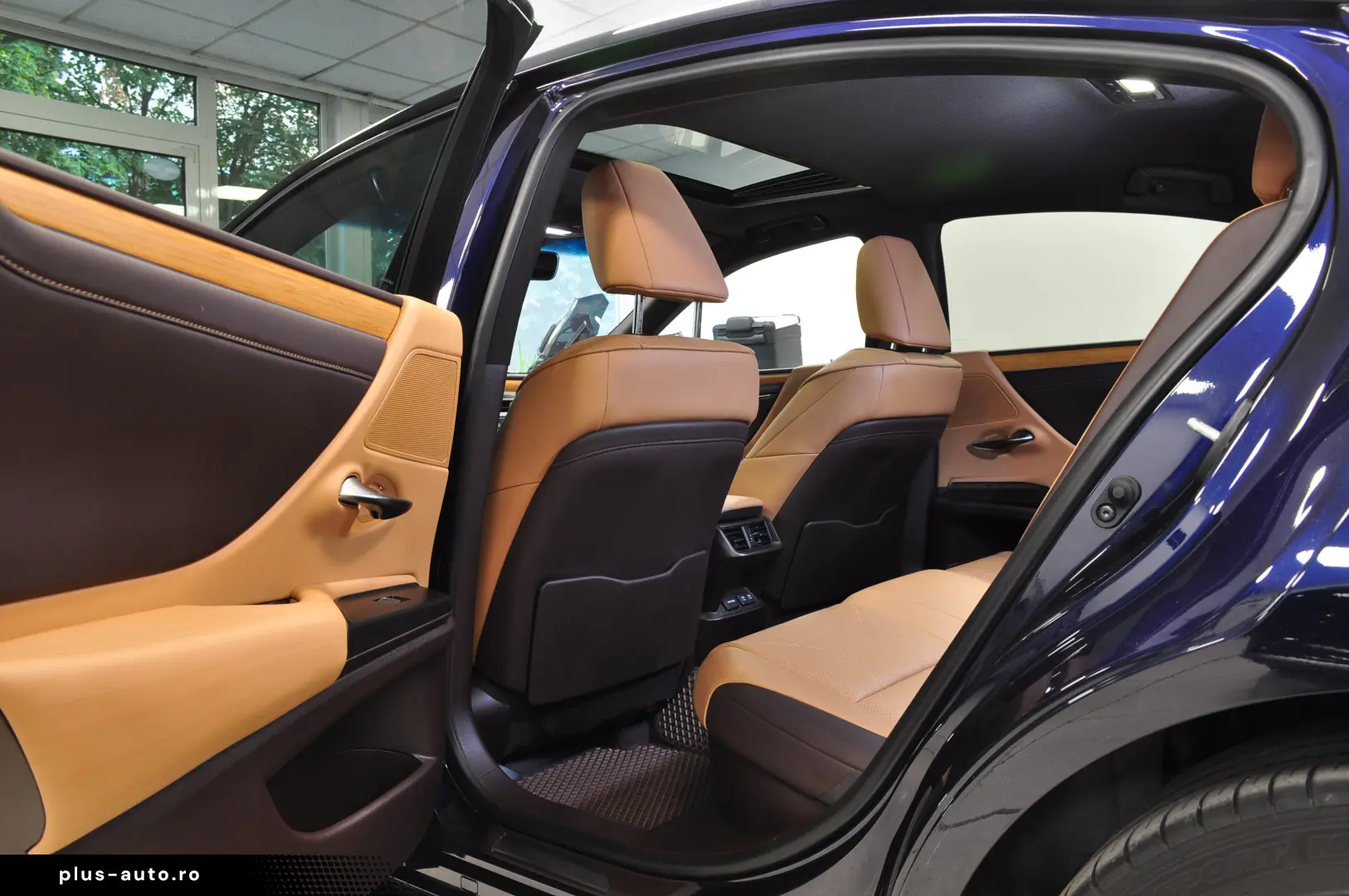 LUXUS ES 300h LUXURY