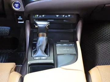 LUXUS ES 300h LUXURY