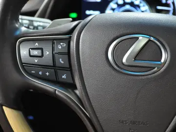 LUXUS ES 300h LUXURY