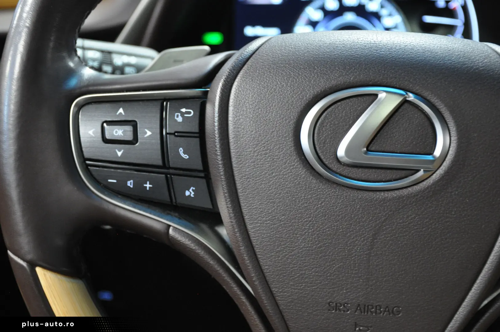 LUXUS ES 300h LUXURY