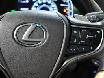 LUXUS ES 300h LUXURY