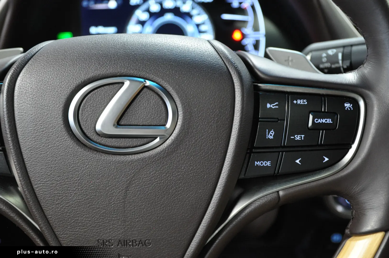 LUXUS ES 300h LUXURY