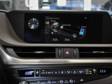 LUXUS ES 300h LUXURY