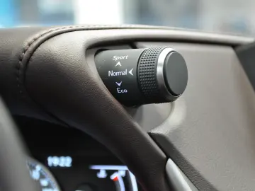 LUXUS ES 300h LUXURY