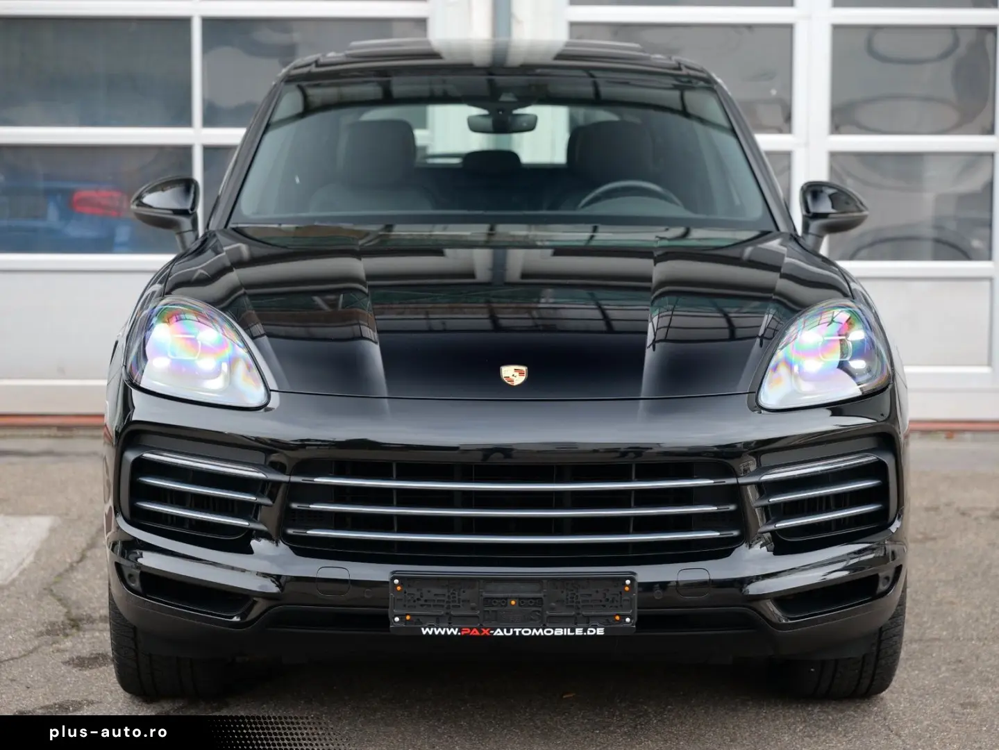 Cayenne PANORAMA KAMERA DAB MEMORY 21 ZOLL 1HD