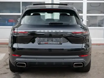 Cayenne PANORAMA KAMERA DAB MEMORY 21 ZOLL 1HD