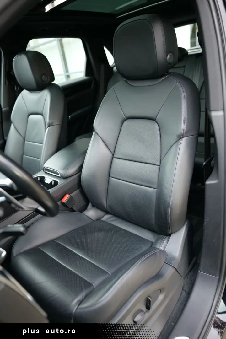 Cayenne PANORAMA KAMERA DAB MEMORY 21 ZOLL 1HD