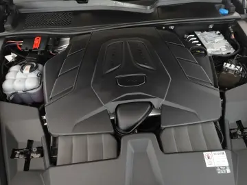 Cayenne Coupé BOSE Inno PASM 360 Sportabgas 22