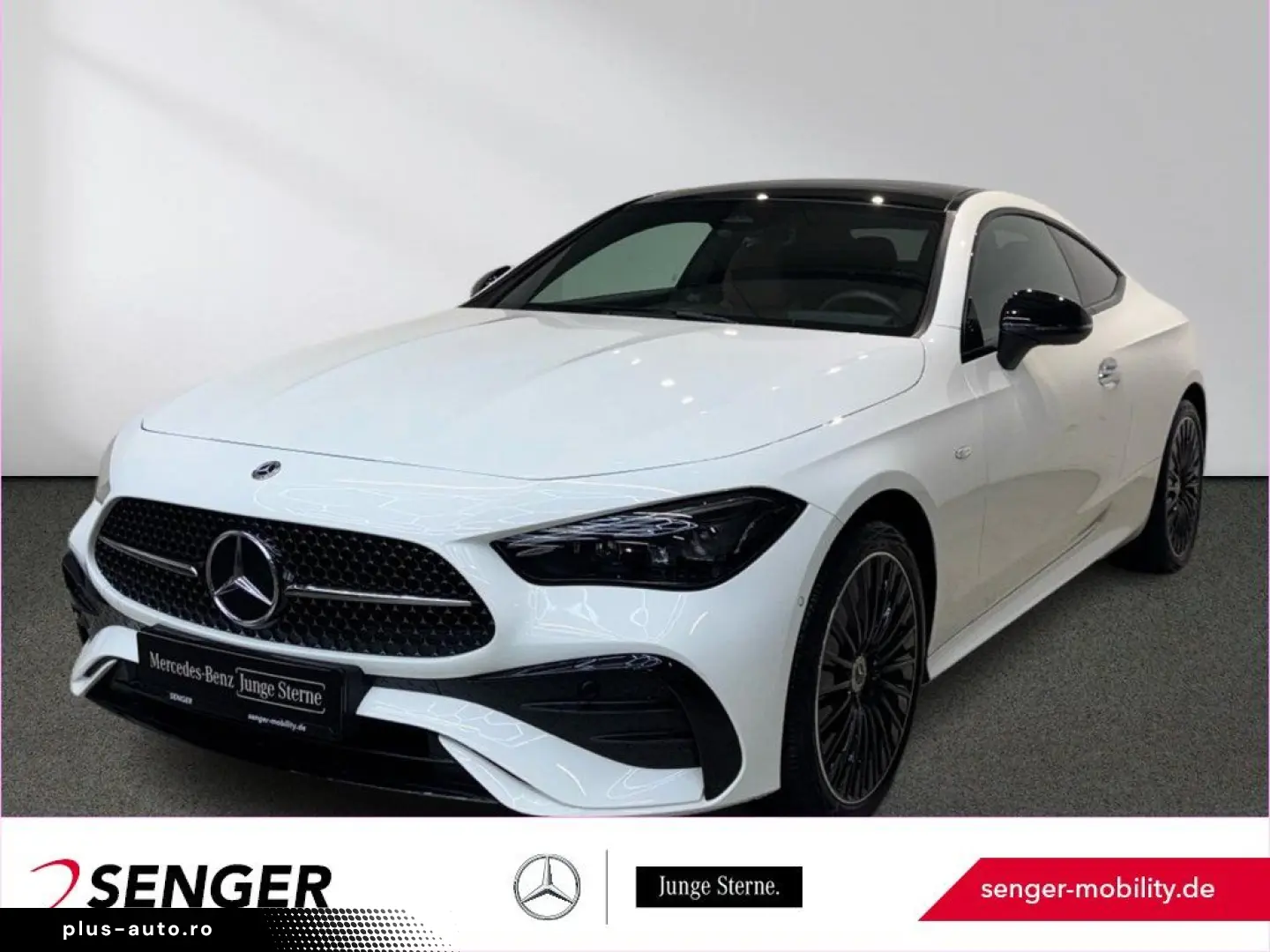 CLE 300 e AMG Line Night Digital-Light Panorama