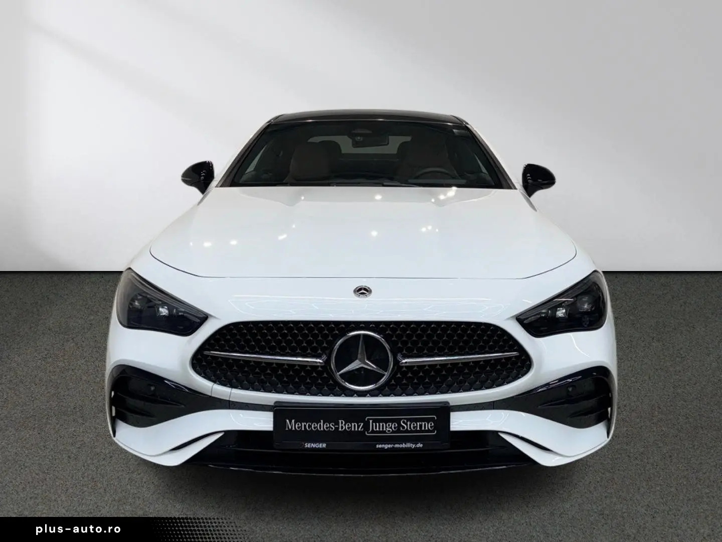 CLE 300 e AMG Line Night Digital-Light Panorama