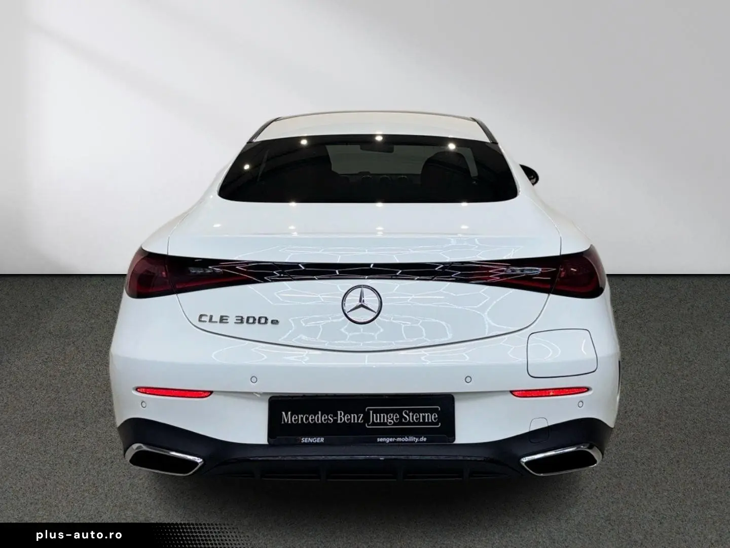 CLE 300 e AMG Line Night Digital-Light Panorama