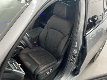 X5 xDrive40d HUD Pano Sky DA Pro AHK STH