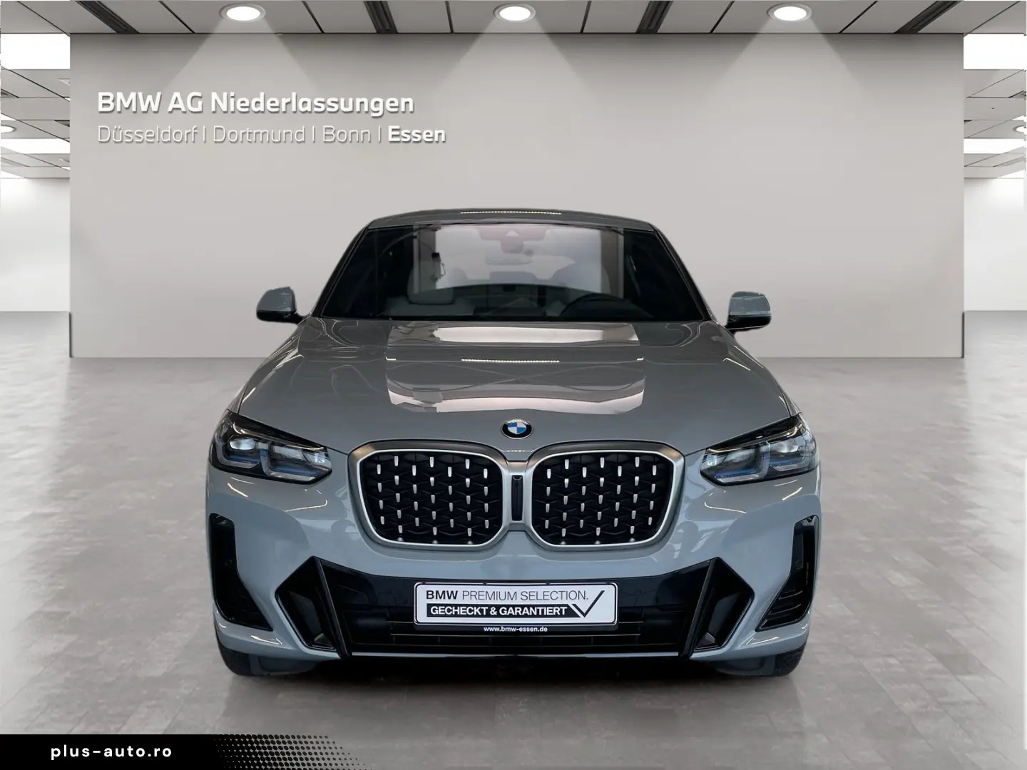 X4 xDrive20d M Sport Standheizung Navi AHK HiFi