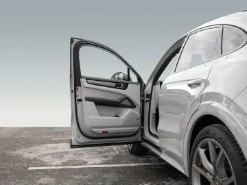 Cayenne S Coupe Platinum Edition AHK 21-Zoll