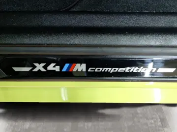 X4 M Harman K LiveCockpitProf Kamera Pano.Dach